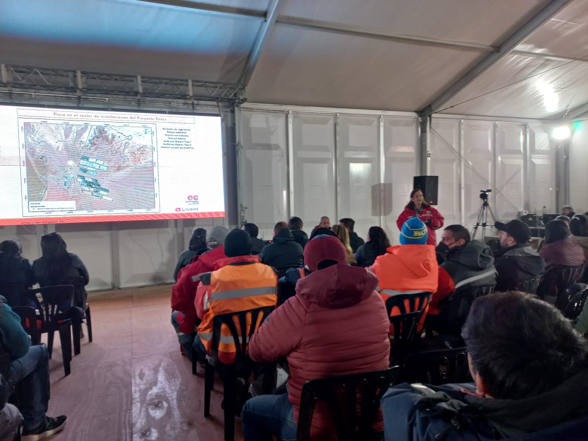 finalizo-la-consulta-publica-del-informe-de-impacto-ambiental-para-la-expansion-del-proyecto-fenix-1